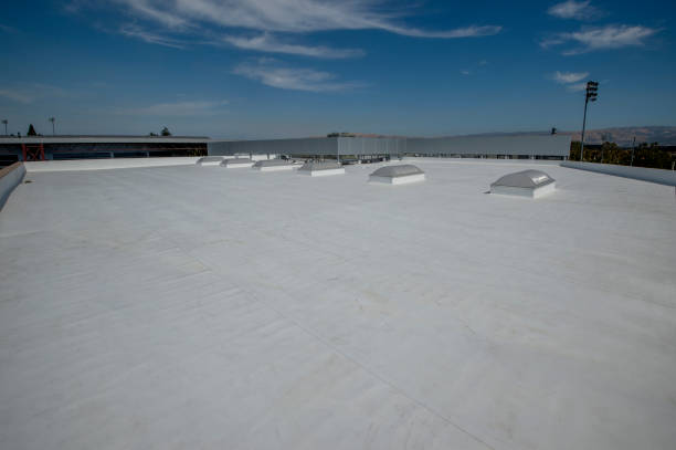 Best Steel Roofing  in Corrales, NM